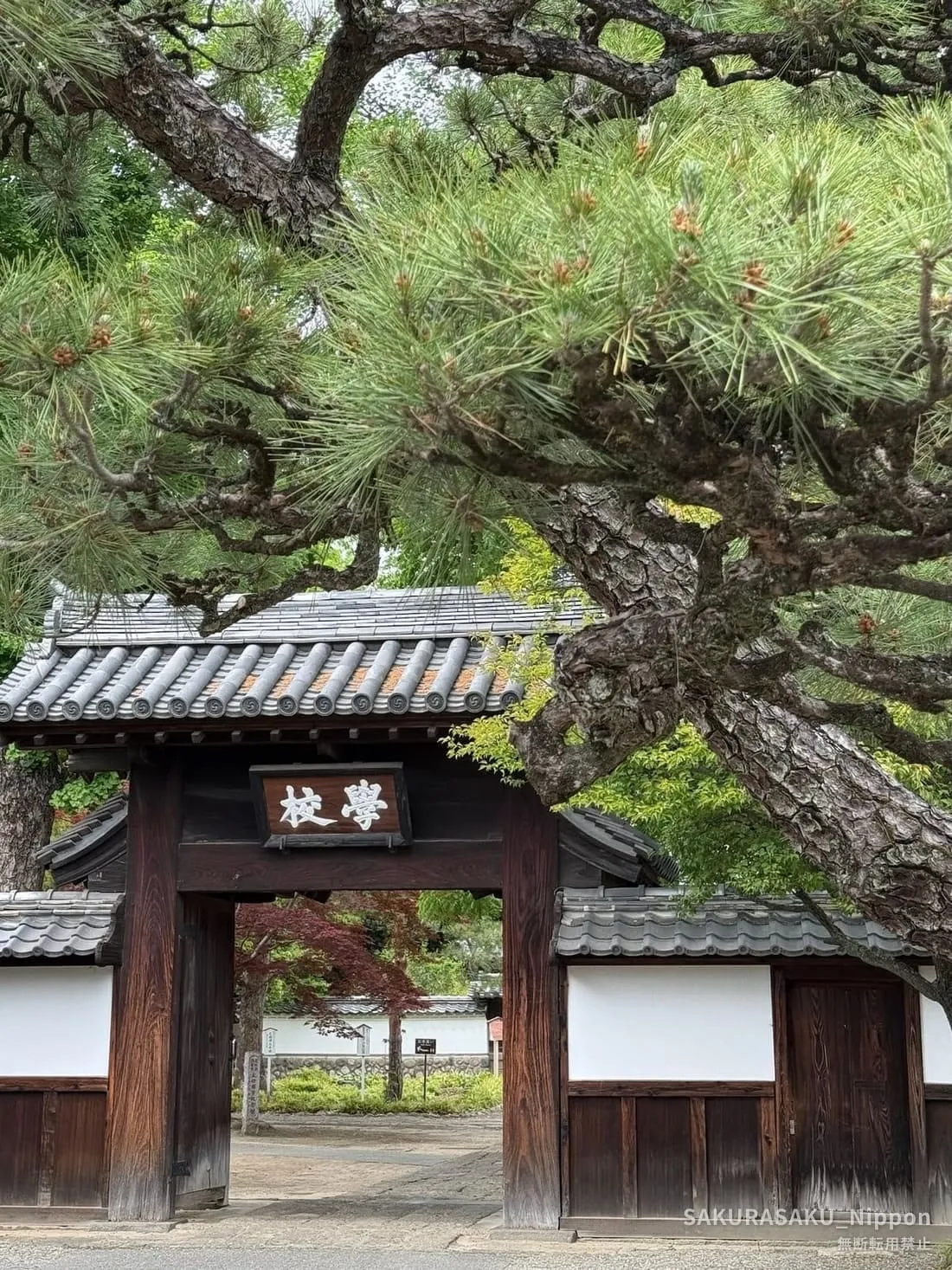 The School Gate at Ashikaga Gakkō, with its 學校 plaque beneath an old pine