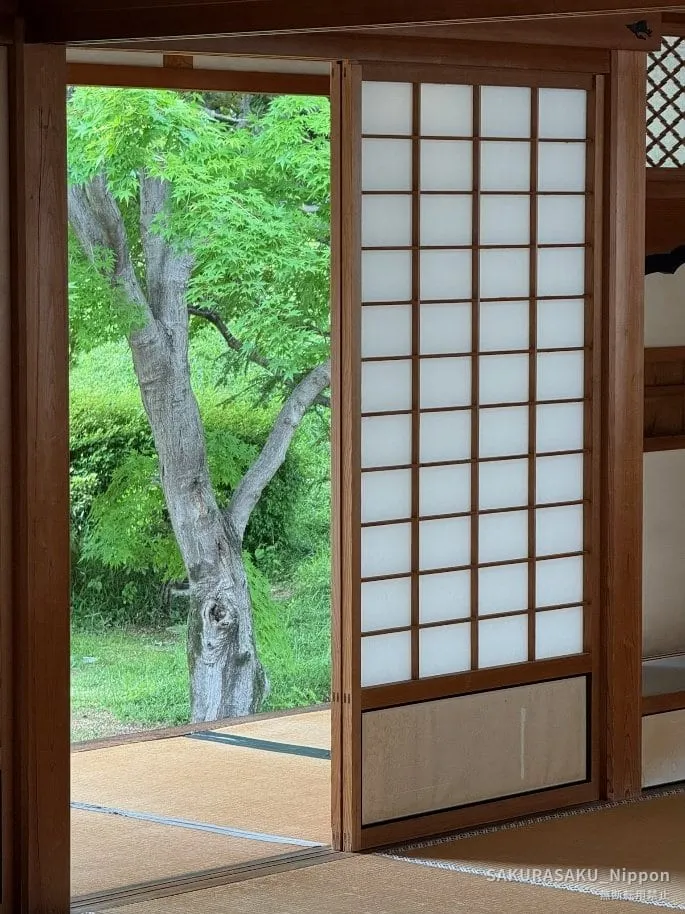 Shōji screens open onto a green maple in the garden