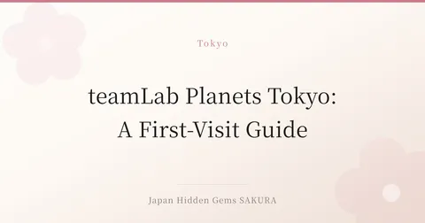 teamLab Planets Tokyo: A First-Visit Guide