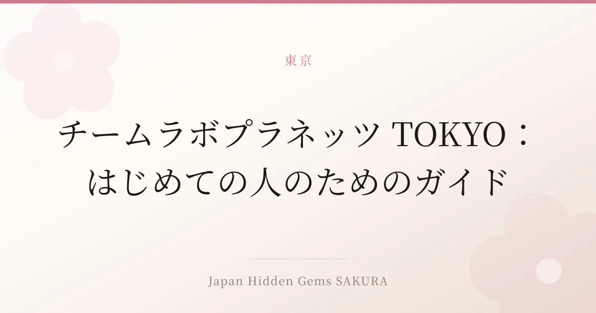 チームラボプラネッツ TOKYO：はじめての人のためのガイド