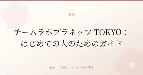 チームラボプラネッツ TOKYO：はじめての人のためのガイド