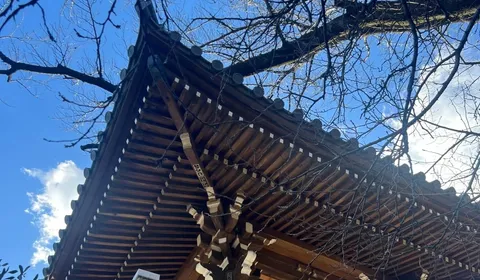 Fukuzōin: A Quiet Neighbourhood Temple, and the Meaning of Its Bell