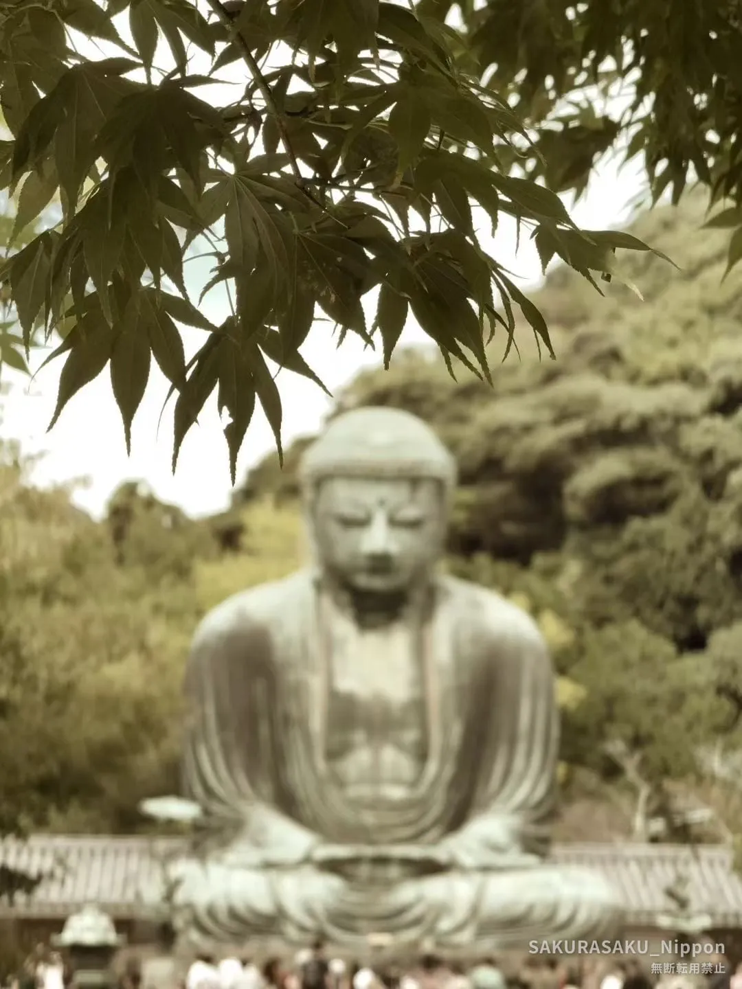 The Great Buddha of Kamakura seen through maple leaves