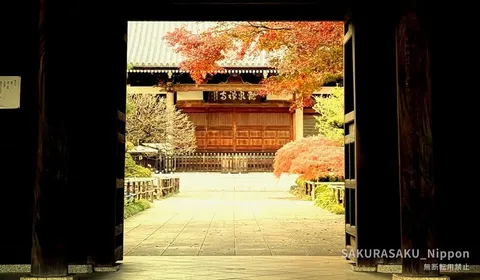 Kansen-ji: Kyoto-Style Autumn Colour, Inside Tokyo, for Nothing