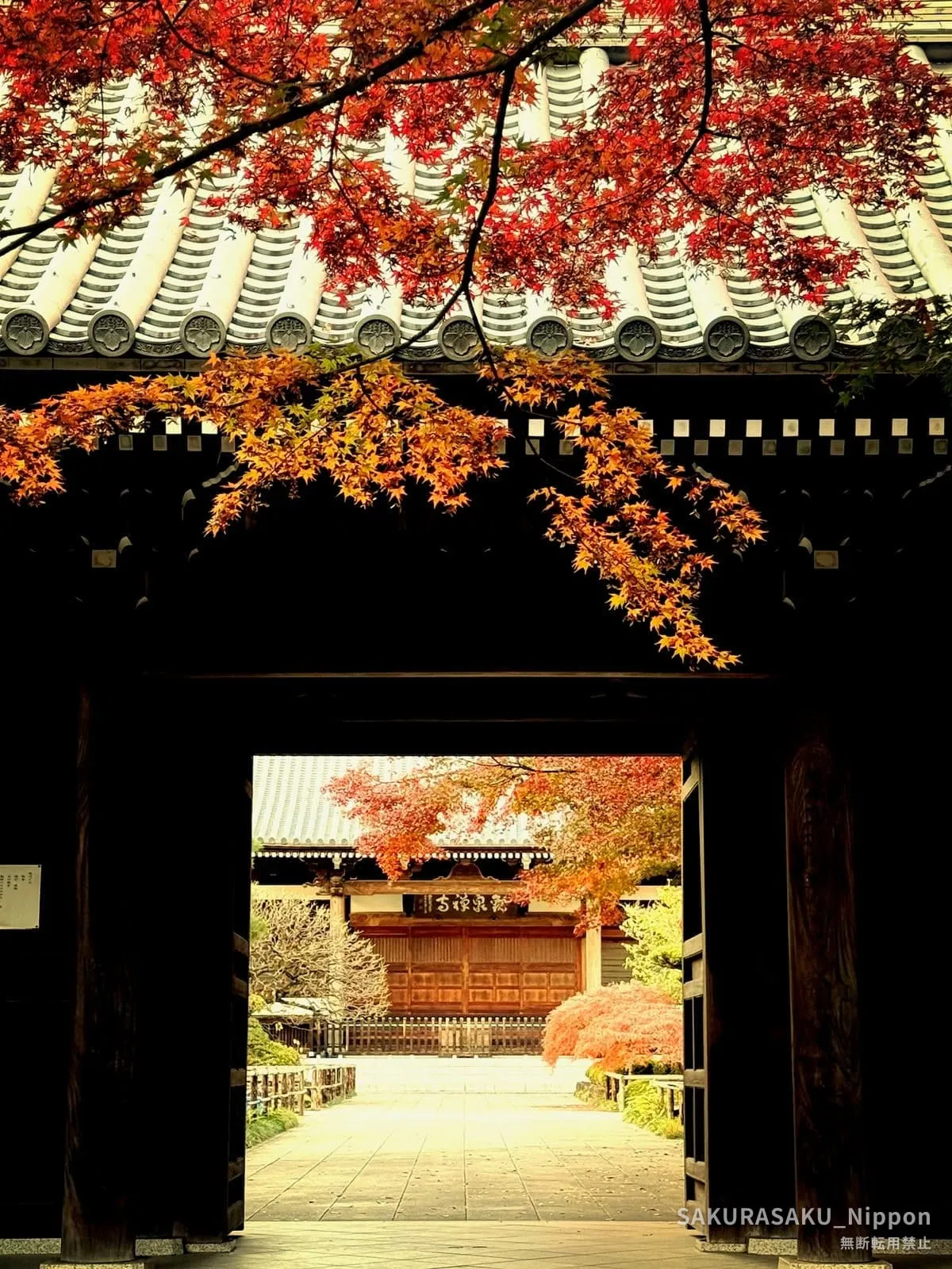 The main gate of Kansen-ji framing red maples and the temple hall beyond