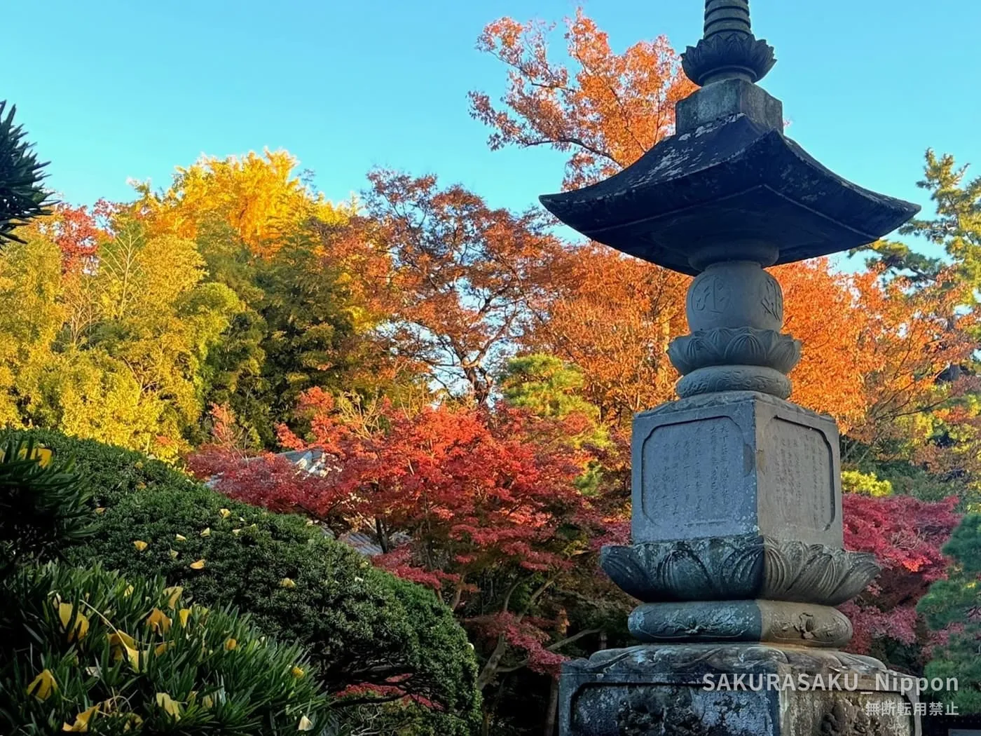 Stone lantern against maples and blue sky in the temple garden