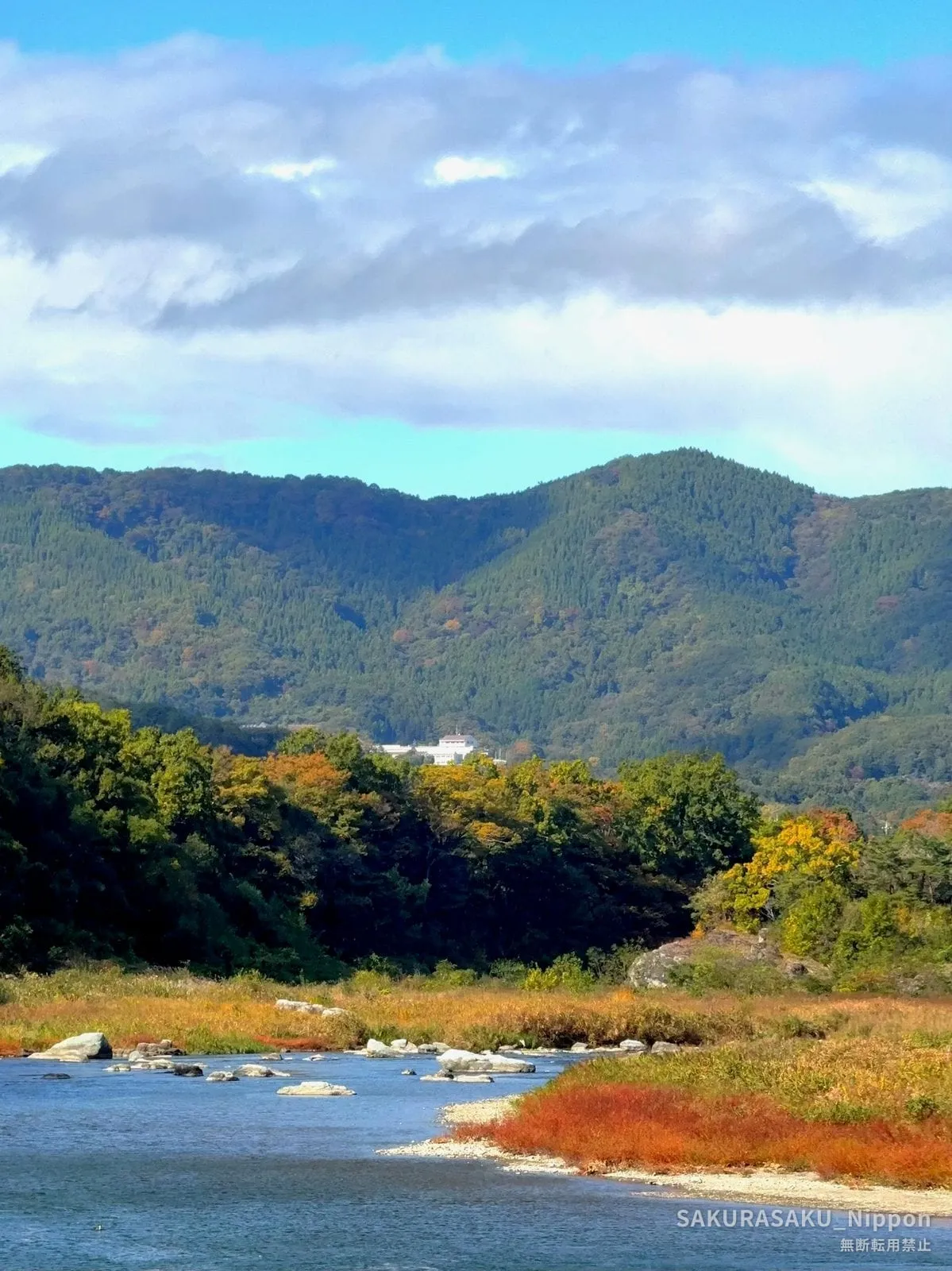 The Arakawa valley at Nagatoro in autumn, with shingle beds, russet grasses and wooded hills behind