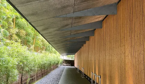 Nezu Museum: A Quiet Masterpiece in the Middle of Aoyama