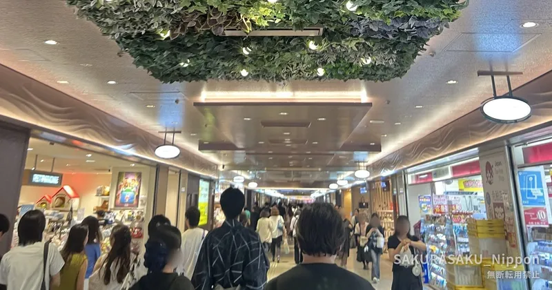 Shinjuku Underground: The City Beneath the World's Busiest Station