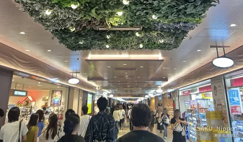 Shinjuku Underground: The City Beneath the World's Busiest Station