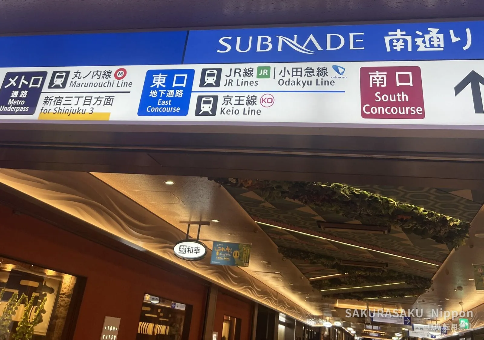 A Subnade overhead sign reading South Street, with lines listed for the Marunouchi Line, JR, Odakyu and Keio, and arrows for the East and South Concourses