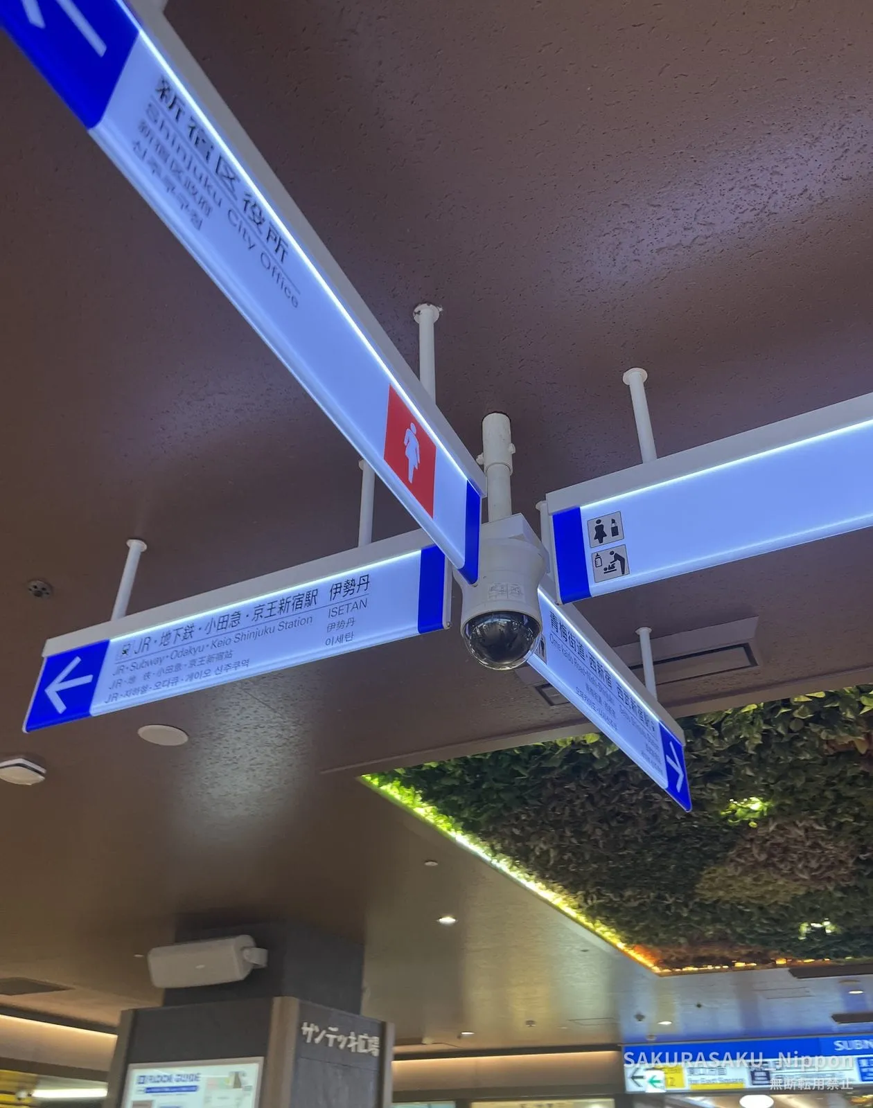 Blue direction signs suspended from an underground ceiling at a junction of passages