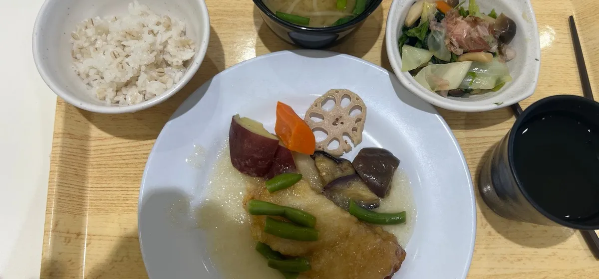 Lunch in the Tokyo Government Staff Canteen