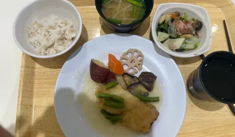 Lunch in the Tokyo Government Staff Canteen