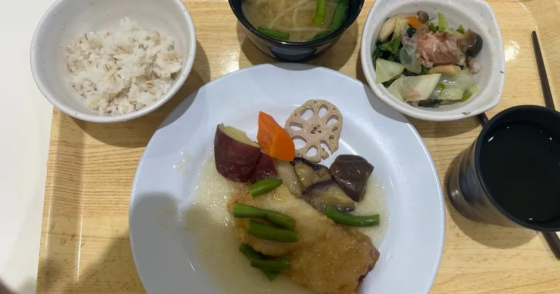 Lunch in the Tokyo Government Staff Canteen