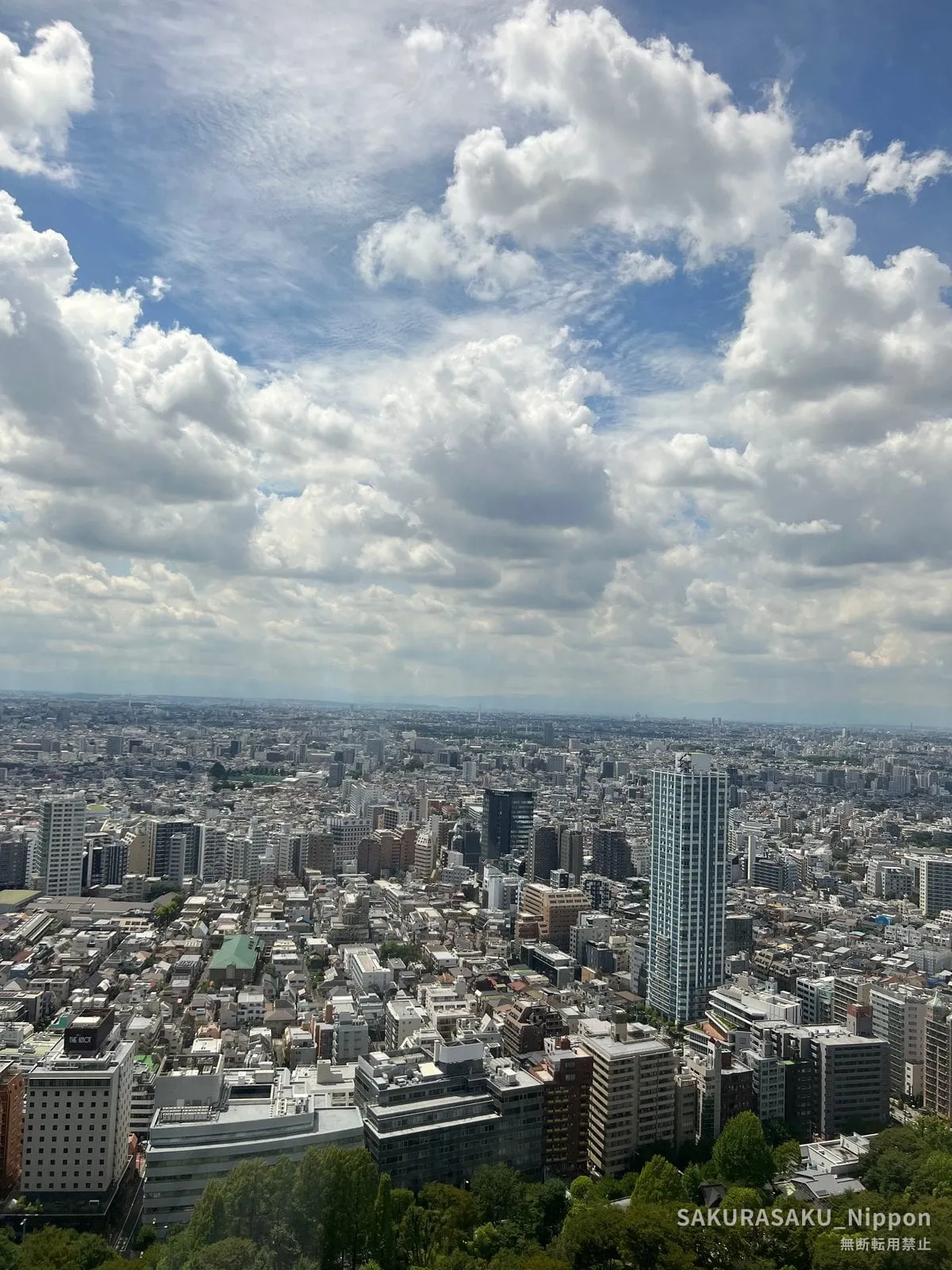 Tokyo seen from the canteen window on the 32nd floor, with summer clouds above the city