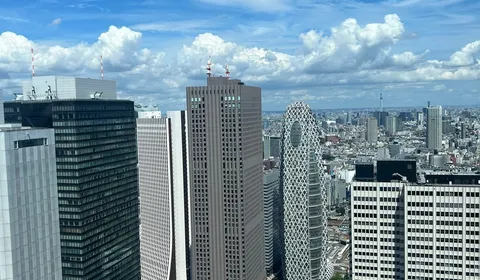 The Free Observatories of the Tokyo Government Building