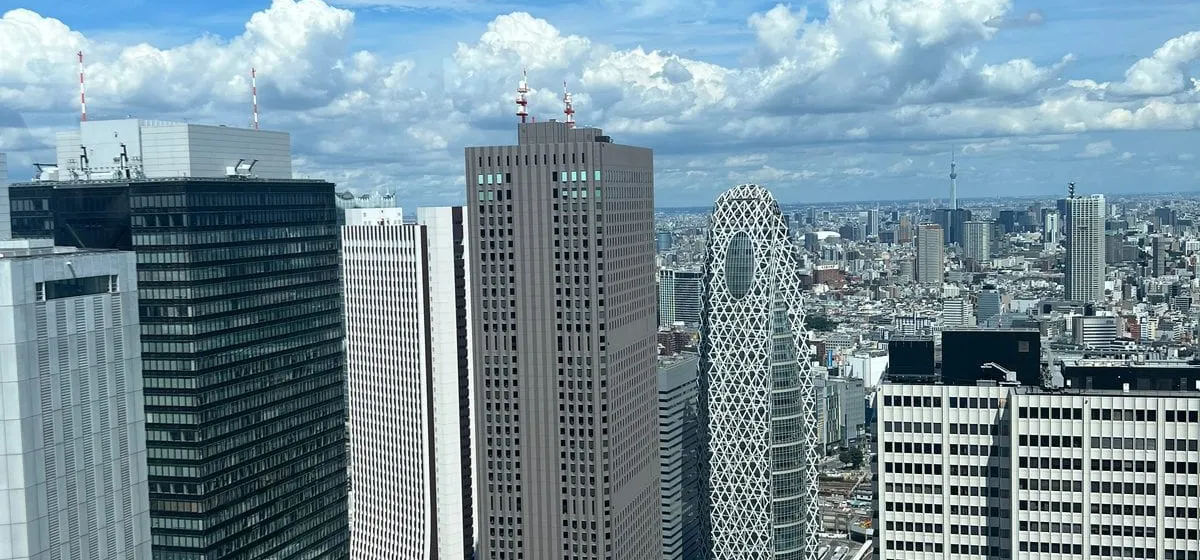 The Free Observatories of the Tokyo Government Building