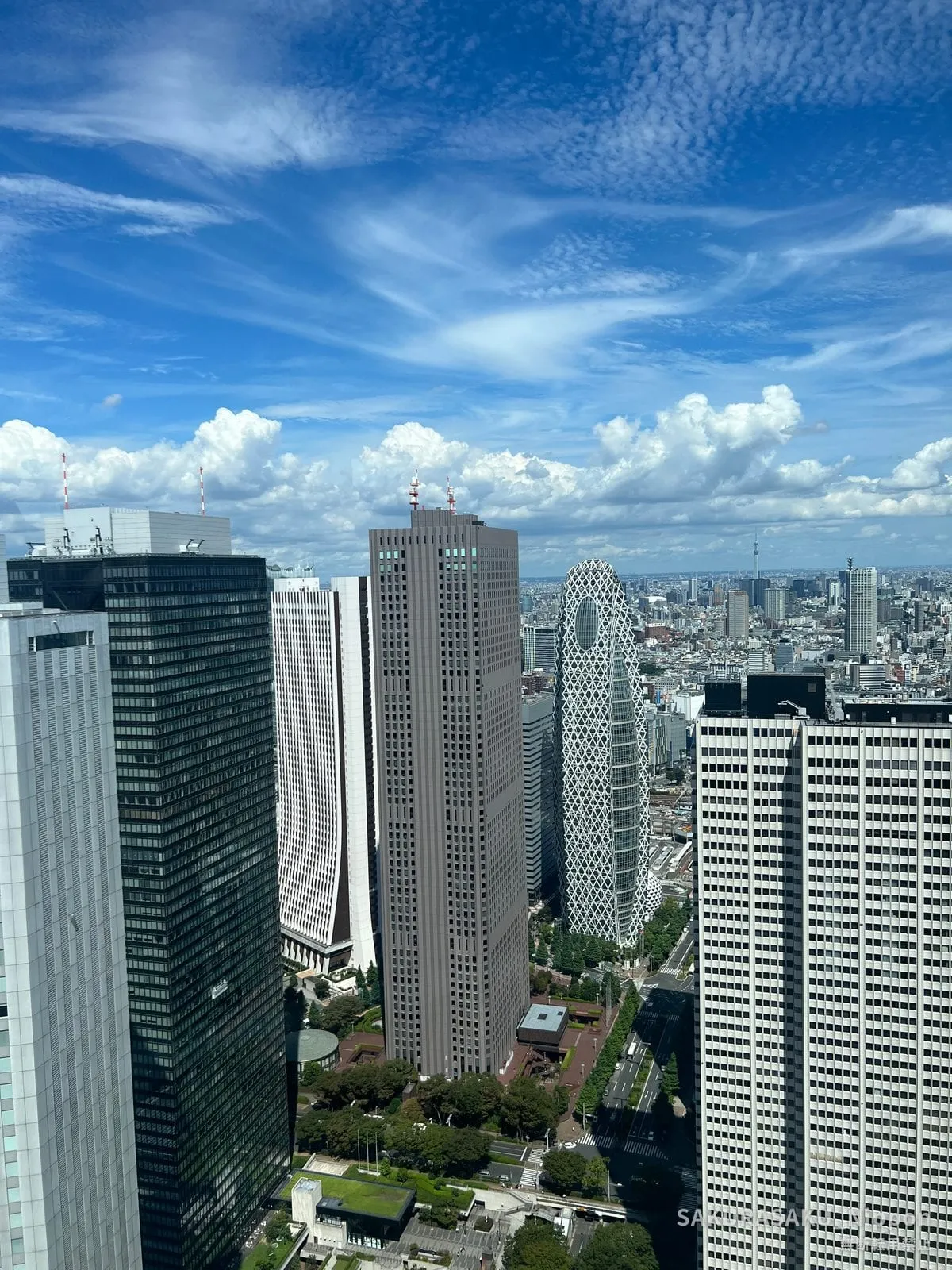 The high-rise towers of West Shinjuku and the city beyond, seen from the observatory of the Tokyo Metropolitan Government Building