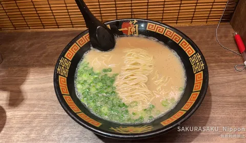 Best Ramen in Tokyo: An Honest Guide by a Local