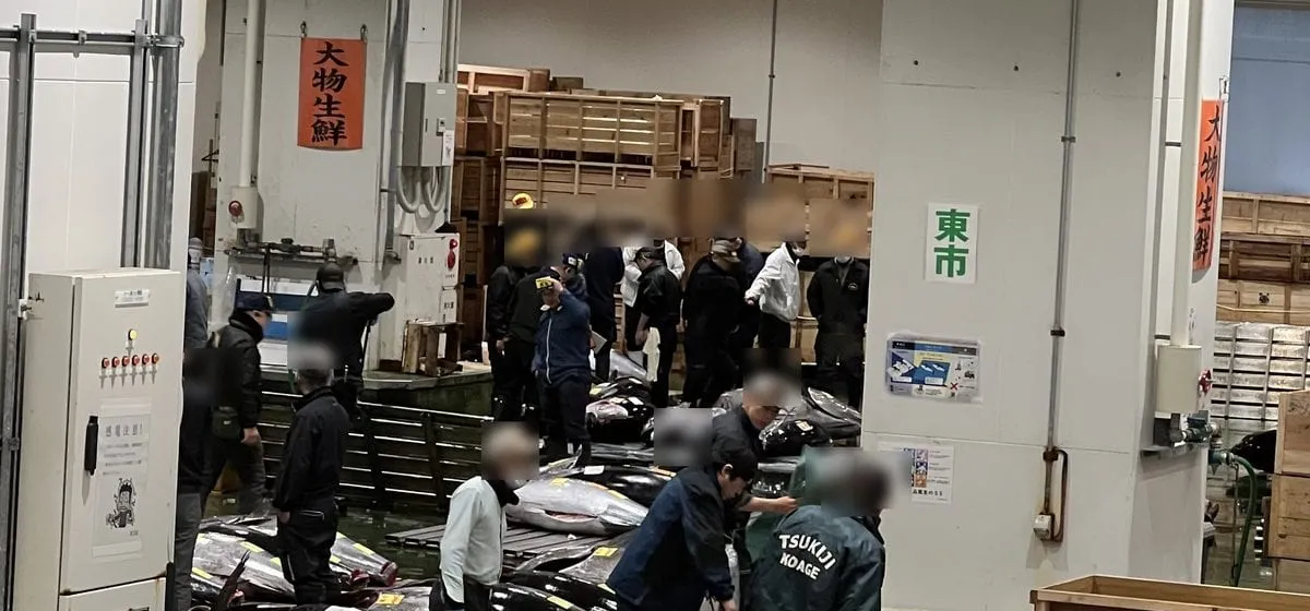 Toyosu Market Tuna Auction: How the Free Lottery Actually Works