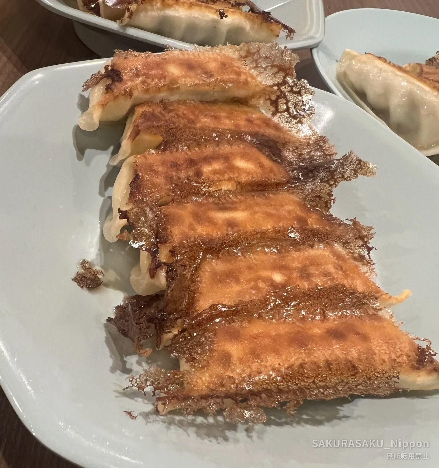 Pan-fried gyoza, joined by a lacy crisp skirt