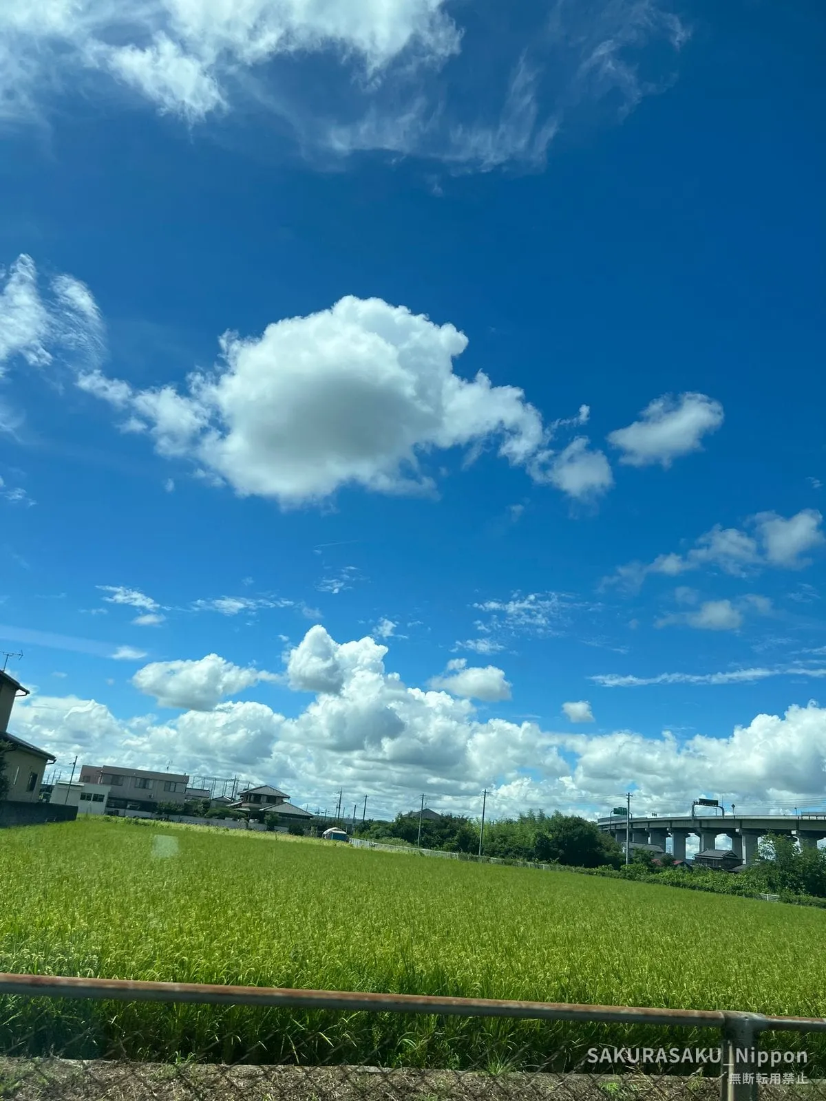 Rice fields and summer clouds along the Utsunomiya Line