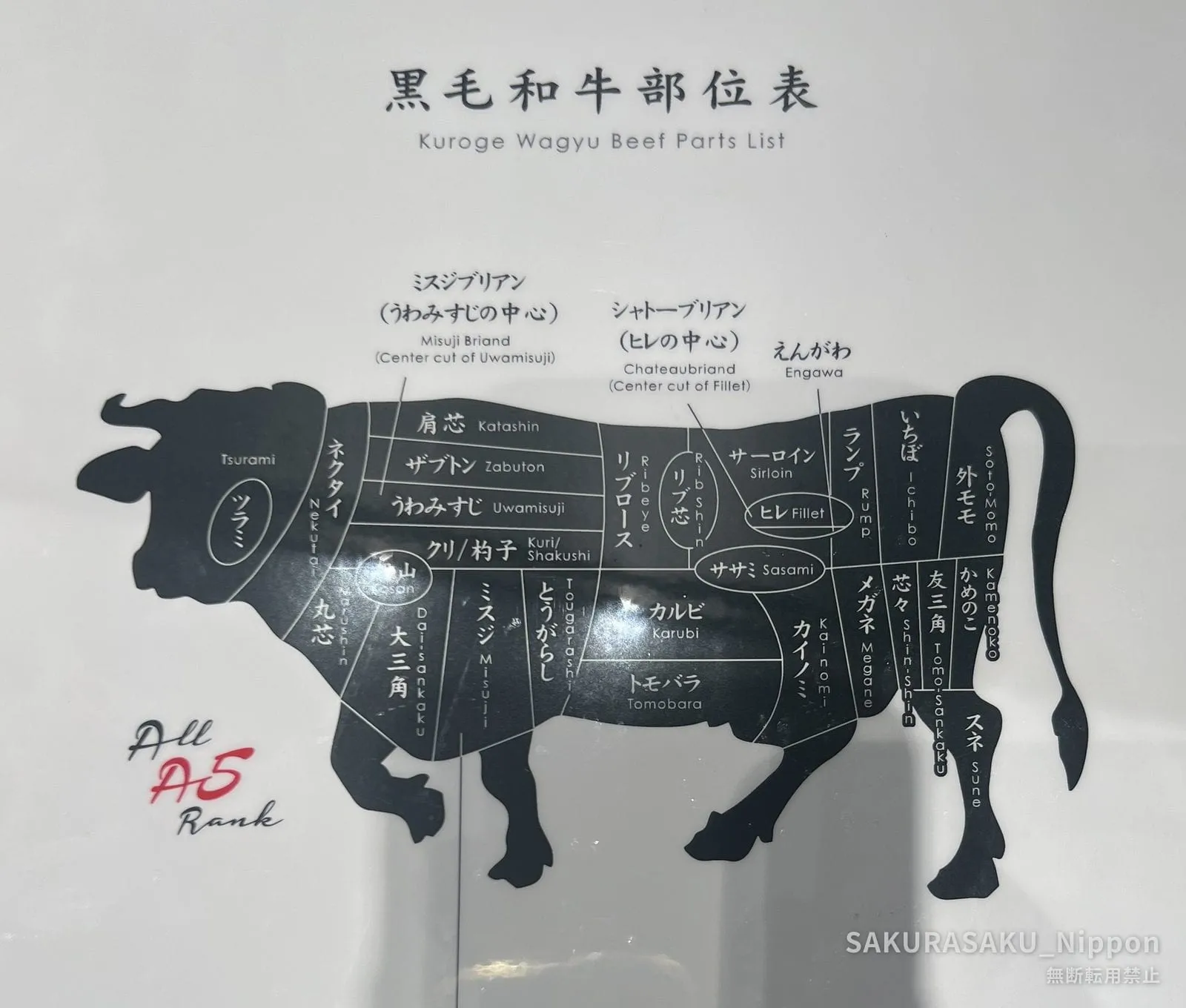 A wall chart of Japanese black wagyu cuts